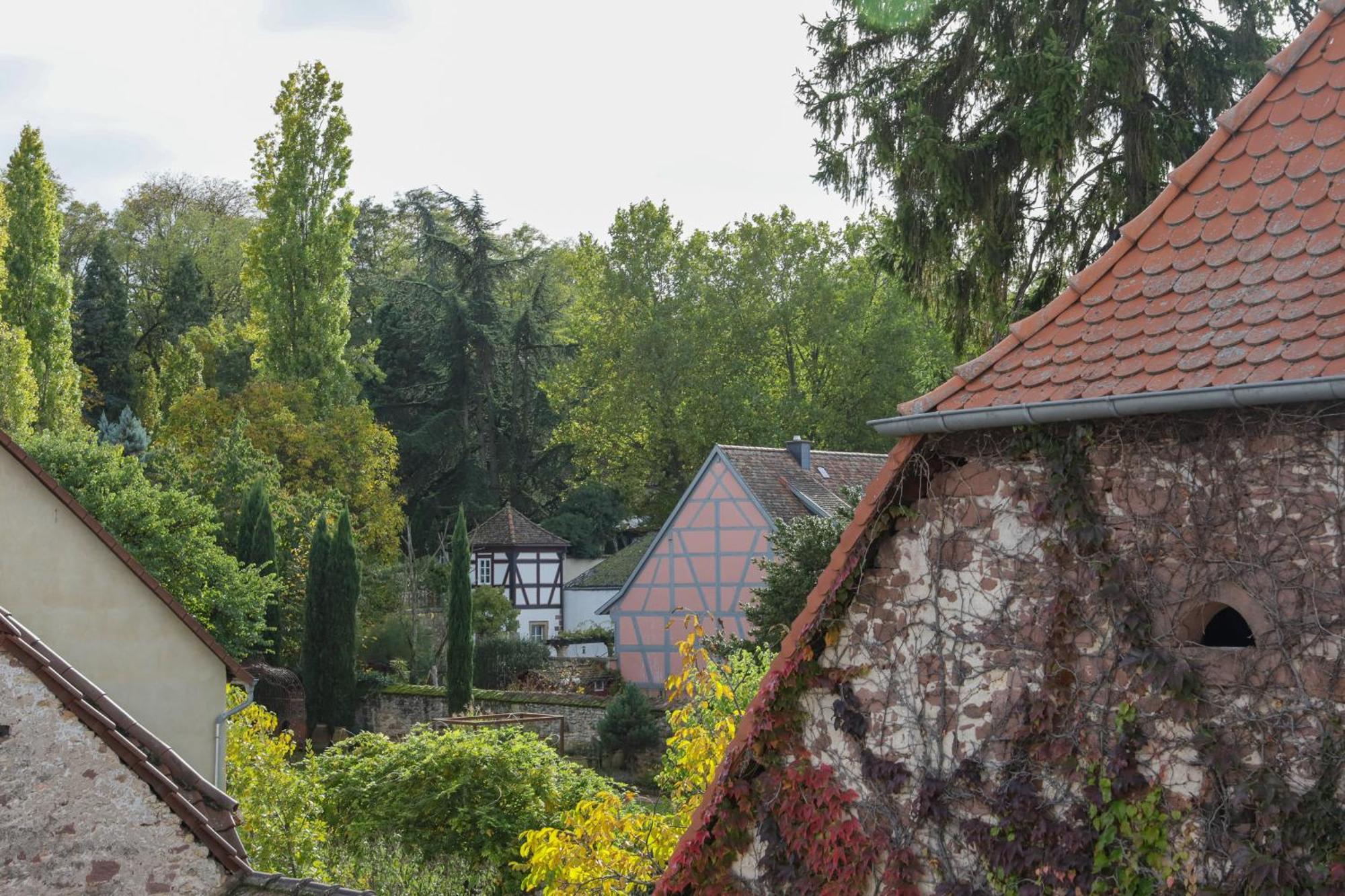 Boutique-Hotel Im Sternenhof 그로스카를바흐 외부 사진